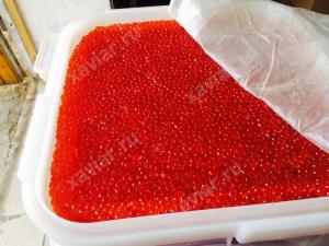 Икра красная лососевая (КЕТА) ООО «МЕМ» 25,5 кг. Камчатка